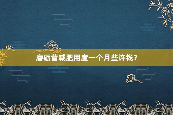 磨砺营减肥用度一个月些许钱？