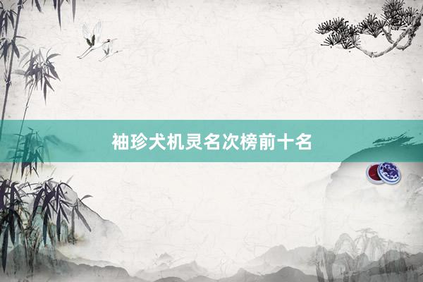 袖珍犬机灵名次榜前十名