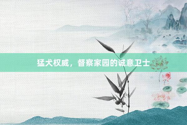 猛犬权威，督察家园的诚意卫士